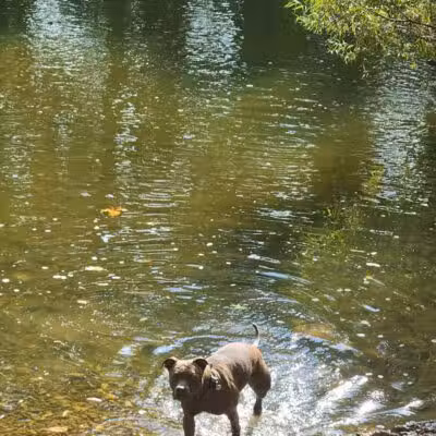 Pizzurro Park - Gahanna, OH