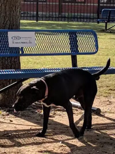 The Dog Depot at Heritage Park - Gainesville, TX