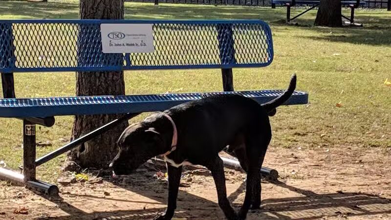 The Dog Depot at Heritage Park - Gainesville, TX