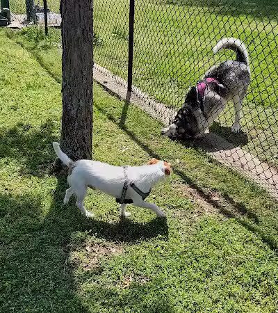 The Dog Depot at Heritage Park - Gainesville, TX