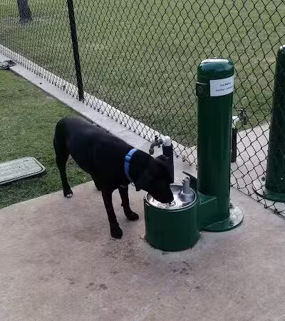 The Dog Depot at Heritage Park - Gainesville, TX
