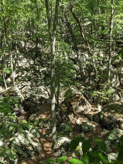 Ledyard Glacial Park - Parking Lot - Gales Ferry, CT