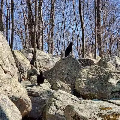 Ledyard Glacial Park - Parking Lot - Gales Ferry, CT