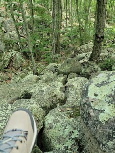 Ledyard Glacial Park - Parking Lot - Gales Ferry, CT