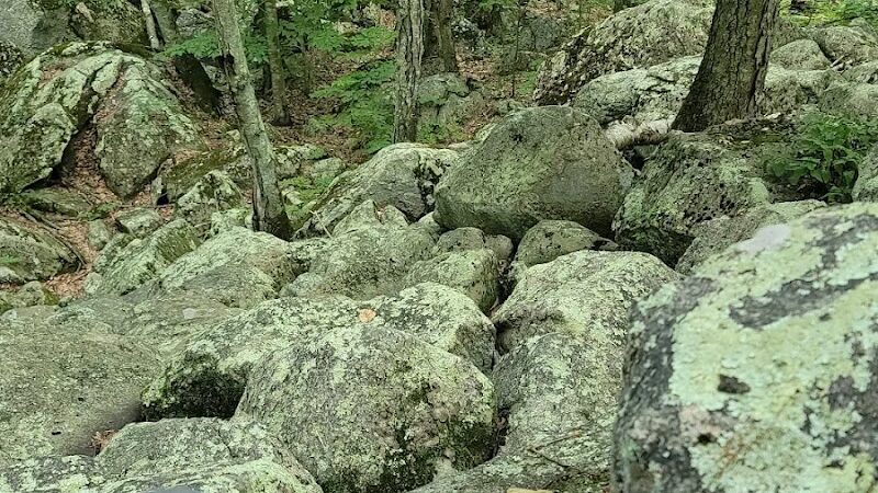 Ledyard Glacial Park - Parking Lot - Gales Ferry, CT