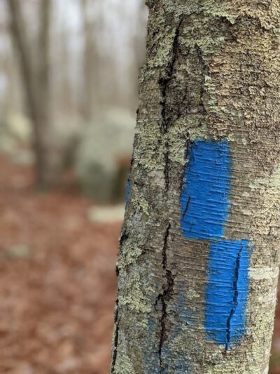 Ledyard Glacial Park - Parking Lot - Gales Ferry, CT
