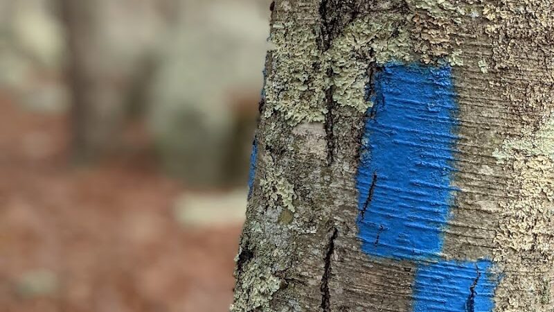 Ledyard Glacial Park - Parking Lot - Gales Ferry, CT
