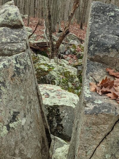 Ledyard Glacial Park - Parking Lot - Gales Ferry, CT