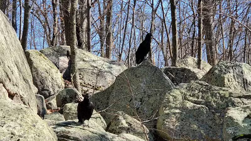 Ledyard Glacial Park - Parking Lot - Gales Ferry, CT