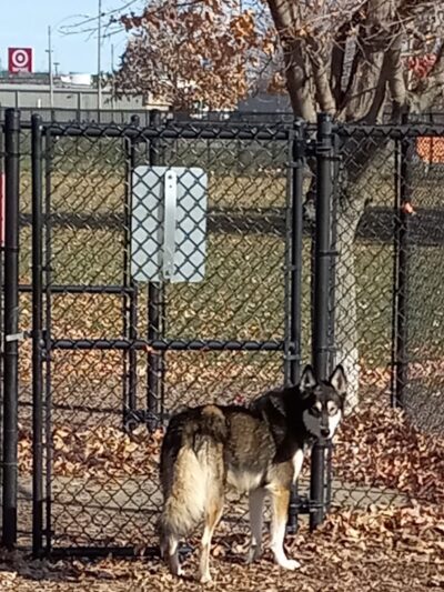 Project Dog Park - Connie Nott Canine Area - Galesburg, IL