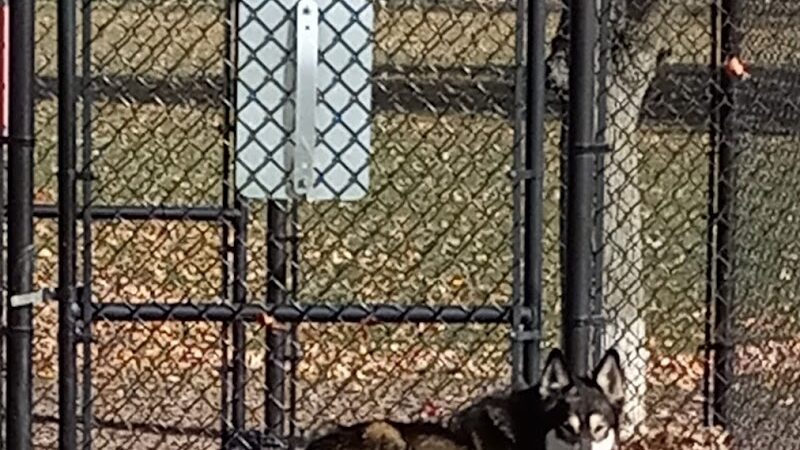 Project Dog Park - Connie Nott Canine Area - Galesburg, IL