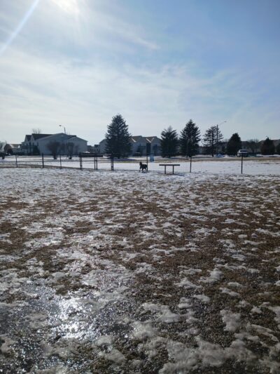 Project Dog Park - Connie Nott Canine Area - Galesburg, IL