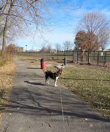 Project Dog Park - Connie Nott Canine Area - Galesburg, IL