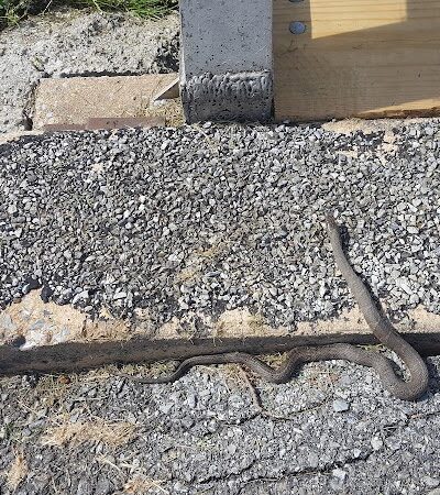 Salisbury Township Community Park - Gap, PA