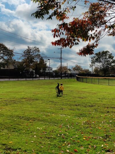 Herricks Ball Park - Garden City Park, NY