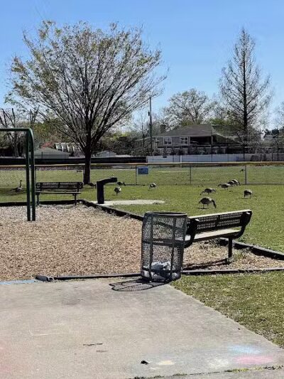 Herricks Ball Park - Garden City Park, NY