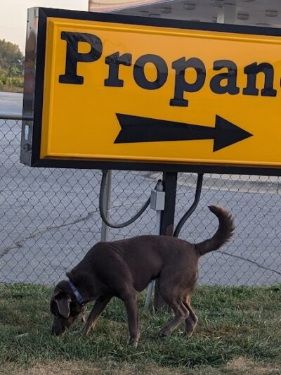 Dog Park at Love's Travel Stops - Gary, IN