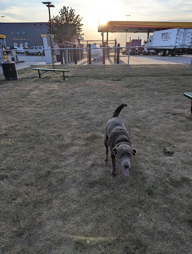 Dog Park at Love's Travel Stops - Gary, IN