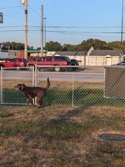 Dog Park at Love's Travel Stops - Gary, IN