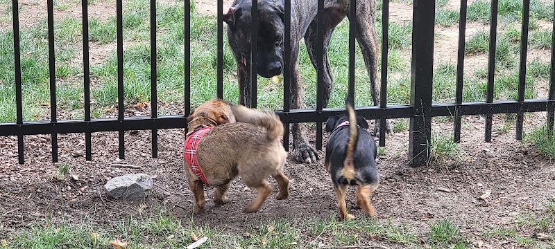 Bradley Station Dog Park