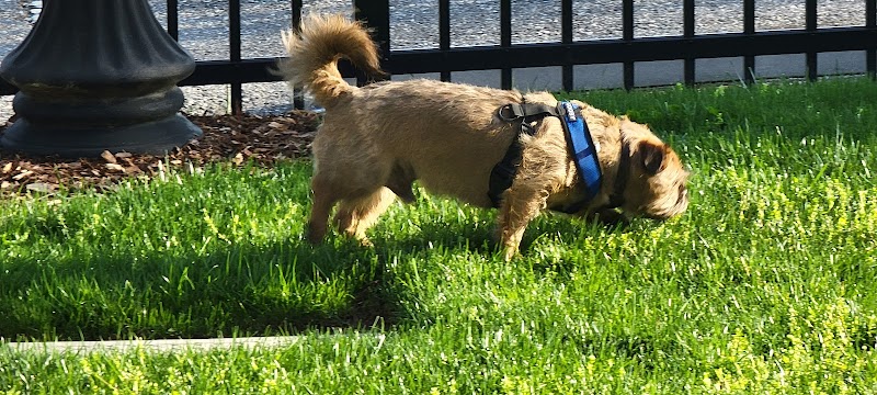 Bradley Station Dog Park