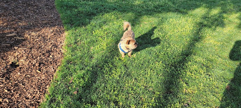 Bradley Station Dog Park