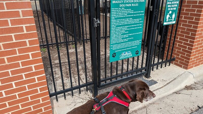 Bradley Station Dog Park