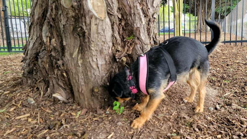 Bradley Station Dog Park