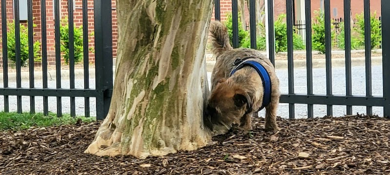 Bradley Station Dog Park
