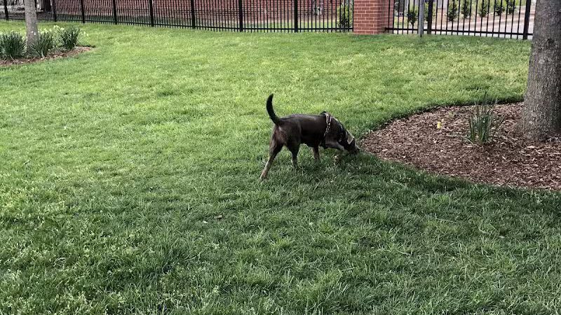 Bradley Station Dog Park