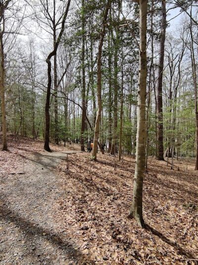 Merchants Millpond State Park - Gatesville, NC