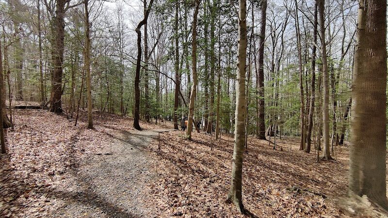 Merchants Millpond State Park - Gatesville, NC