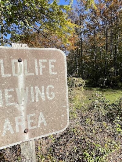 Merchants Millpond State Park - Gatesville, NC