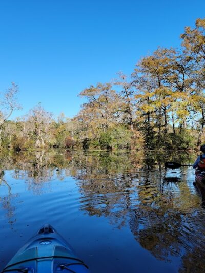 Merchants Millpond State Park - Gatesville, NC