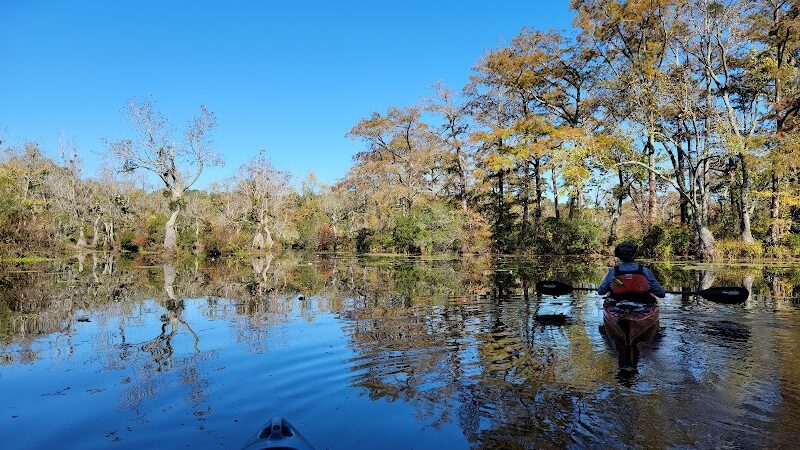 Merchants Millpond State Park - Gatesville, NC