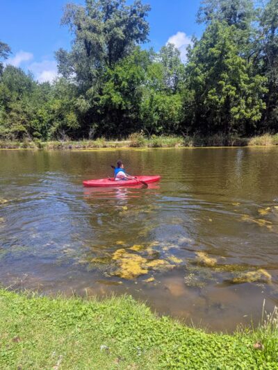 Geneseo Prairie Park - Geneseo, IL