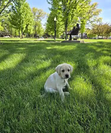 Geneseo City Park - Geneseo, IL
