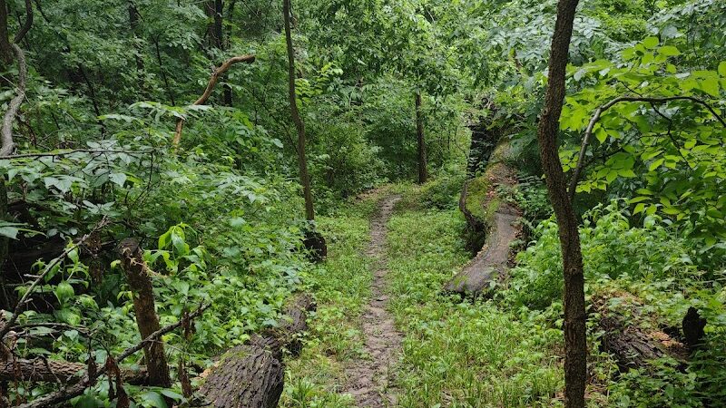 Geneseo Prairie Park - Geneseo, IL