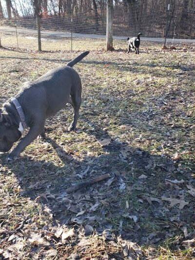 Geneseo Prairie Park - Geneseo, IL