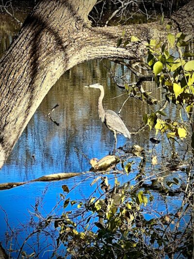 Hennepin Canal Pkwy Trail - Geneseo, IL