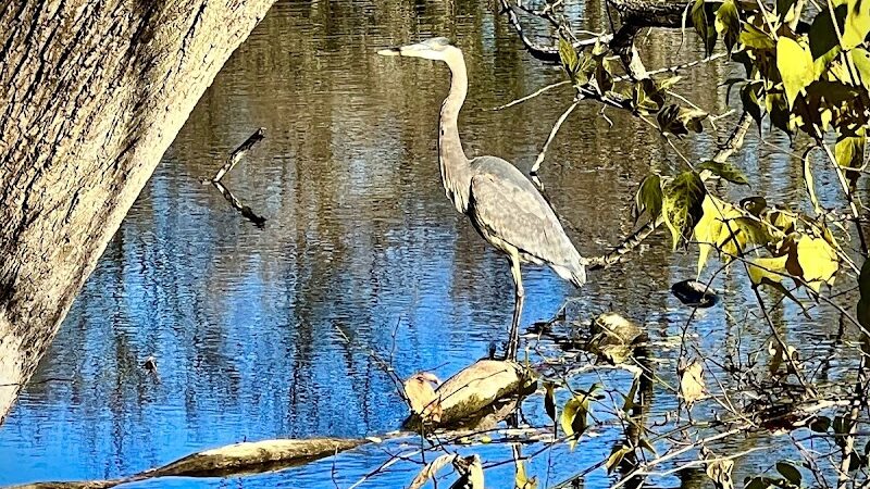 Hennepin Canal Pkwy Trail - Geneseo, IL