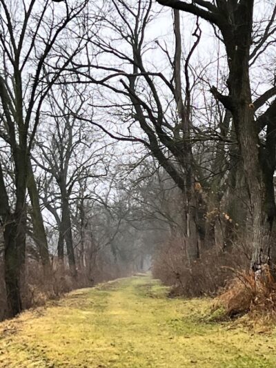 Hennepin Canal Pkwy Trail - Geneseo, IL