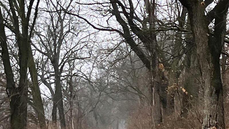 Hennepin Canal Pkwy Trail - Geneseo, IL
