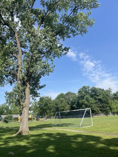 Highland Park - Geneseo, NY