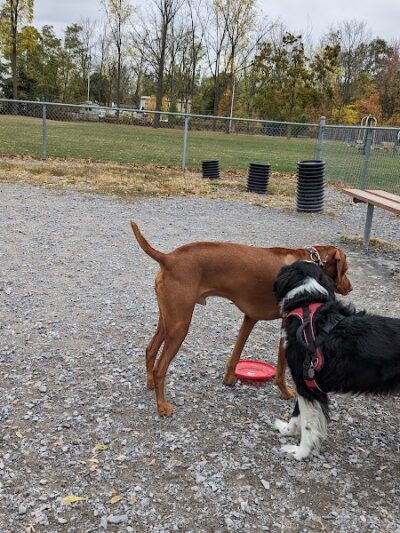 Highland Park - Geneseo, NY