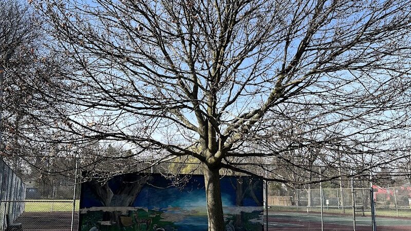 Highland Park - Geneseo, NY