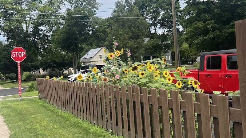 Highland Park - Geneseo, NY