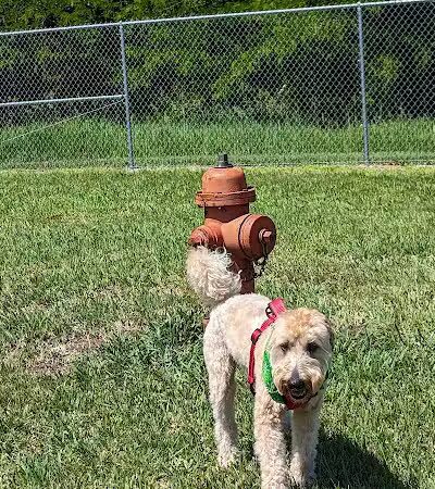 The Geneva Dog Park - Geneva, NE