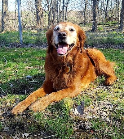 Geneva Bark Park - Geneva, NY