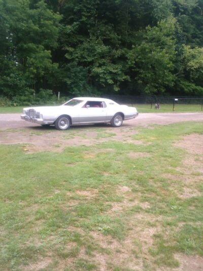 Geneva Dog Park - Geneva, OH